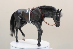 Little Filly Ruffian