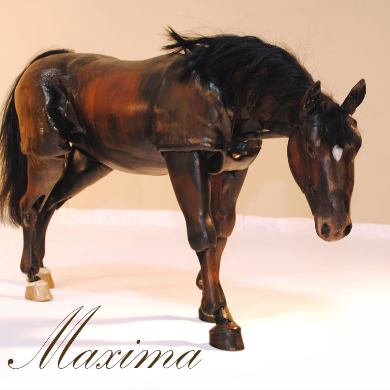 Maxima AHM